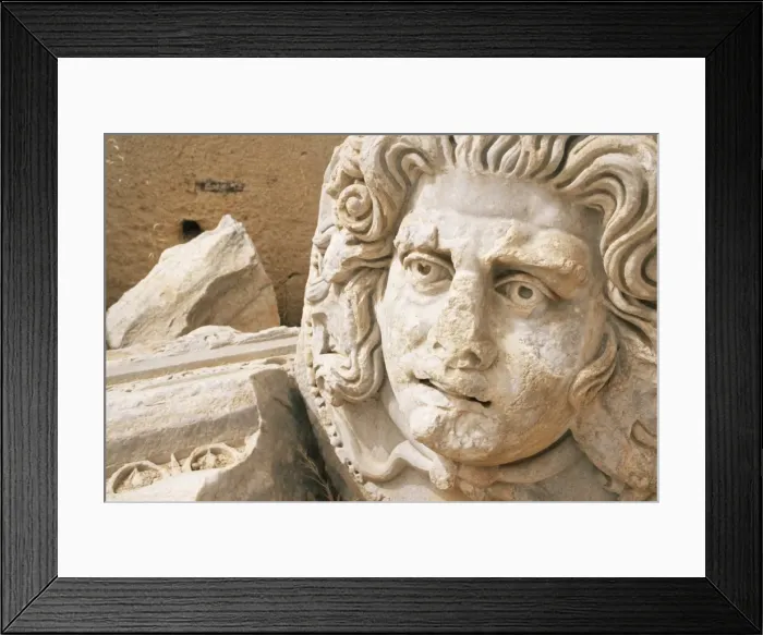 Framed Print : Medusa head Framed Print : Medusa head