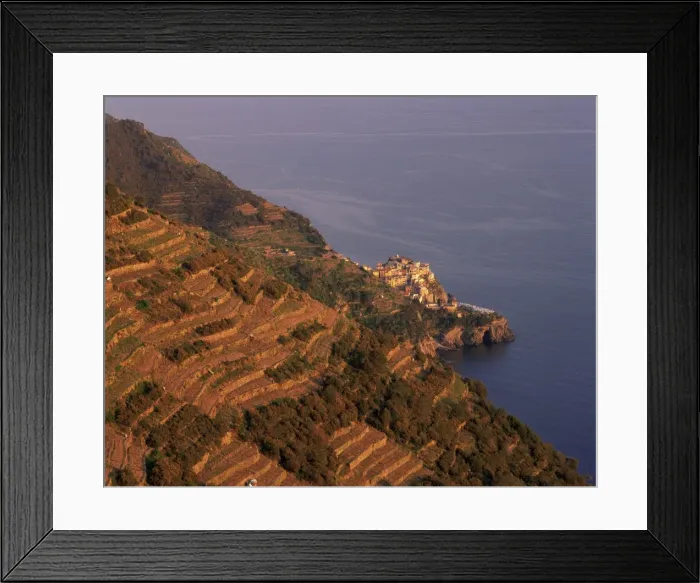 Framed Print : Village of Manarola and terraced vineyards at sunset