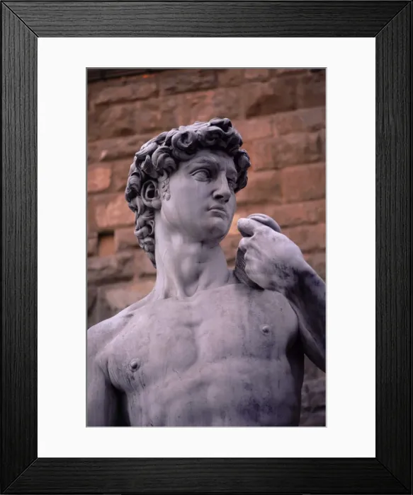 Framed Print : Michelangelos David Framed Print : Michelangelos David