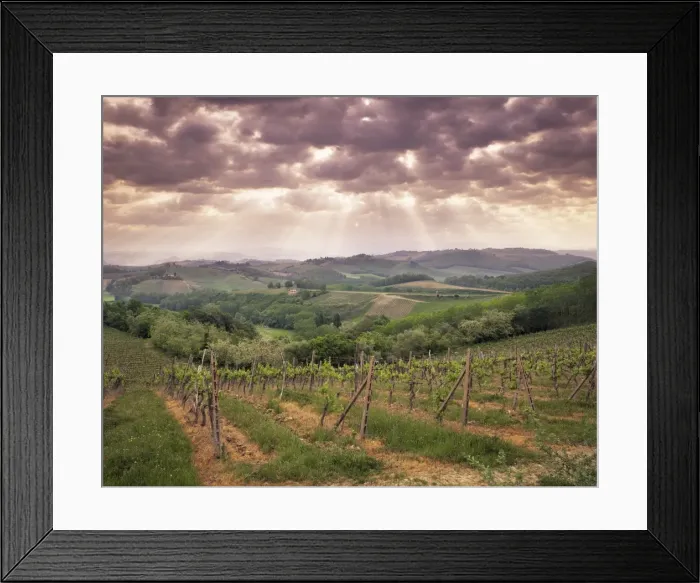 Framed Print : Vineyards and cloudy sky near San Gimignano Framed Print : Vineyards and cloudy sky near San Gimignano