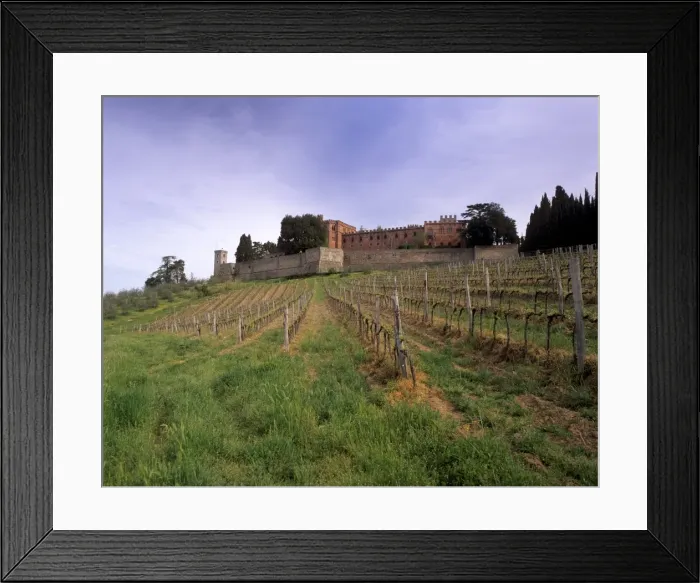 Framed Print : Castello di Brolio and famous vineyards Framed Print : Castello di Brolio and famous vineyards