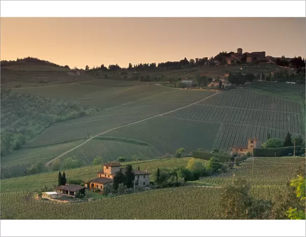Sunset over vineyards near Panzano in Chianti