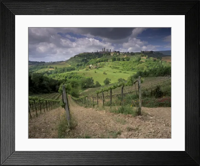 Framed Print : Vineyards and the medivel town of San Gimignano delle belle Torri Framed Print : Vineyards and the medivel town of San Gimignano delle belle Torri