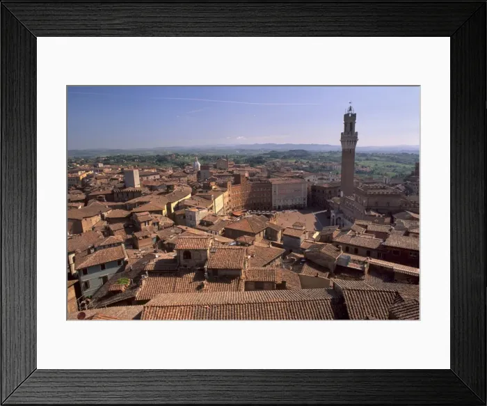 Framed Print : Piazza del Campo and Palazzo Pubblico Framed Print : Piazza del Campo and Palazzo Pubblico