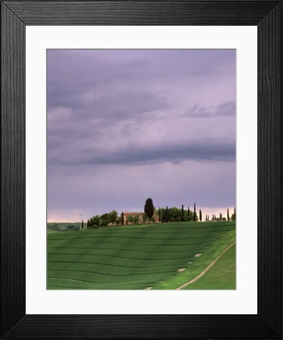 Framed Print : Farm and cypress trees Framed Print : Farm and cypress trees
