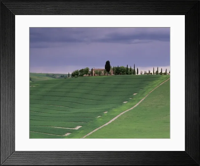 Framed Print : Farm and cypress trees Framed Print : Farm and cypress trees