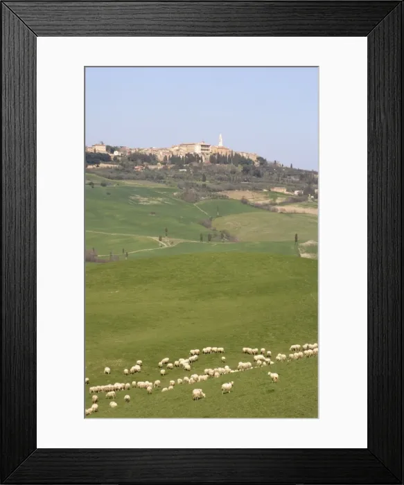 Framed Print : Pienza, Val D Orcia Framed Print : Pienza, Val D Orcia