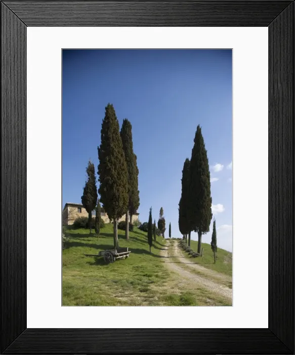 Framed Print : Farmhouse called Il Belvedere near San Quirico Framed Print : Farmhouse called Il Belvedere near San Quirico