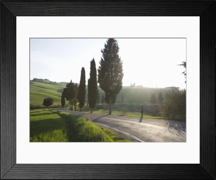 Framed Print : Road and cypresses near Pienza