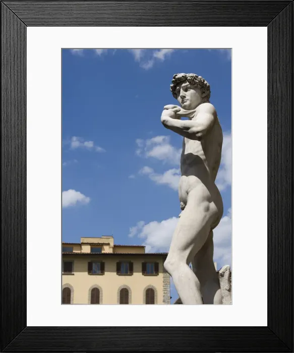 Framed Print : Statue of David Framed Print : Statue of David