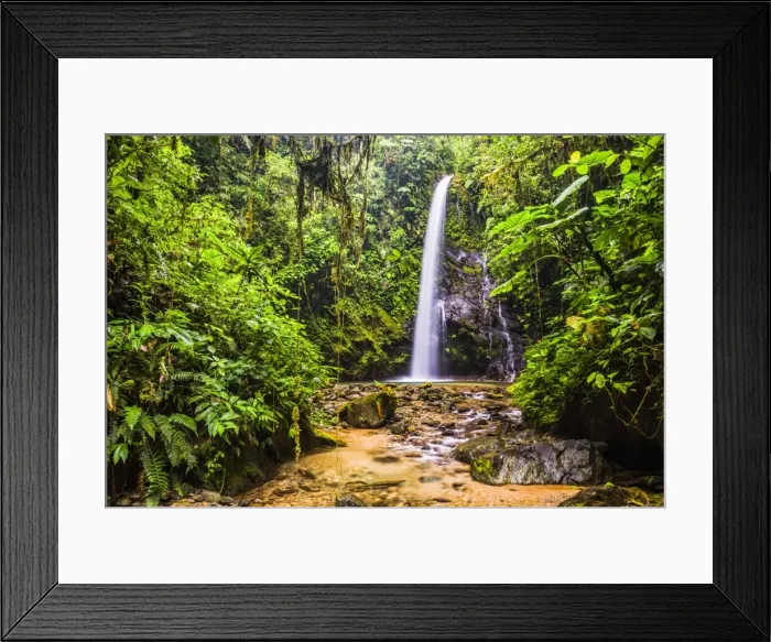 Framed Print : Waterfall San Vincente in an area of jungle called Mashpi Cloud Forest in the Choco Rainforest Framed Print : Waterfall San Vincente in an area of jungle called Mashpi Cloud Forest in the Choco Rainforest