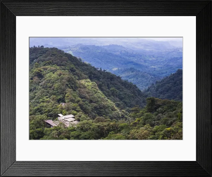 Framed Print : Mashpi Lodge, Choco Cloud Forest, a rainforest in the Pichincha Province of Ecuador Framed Print : Mashpi Lodge, Choco Cloud Forest, a rainforest in the Pichincha Province of Ecuador
