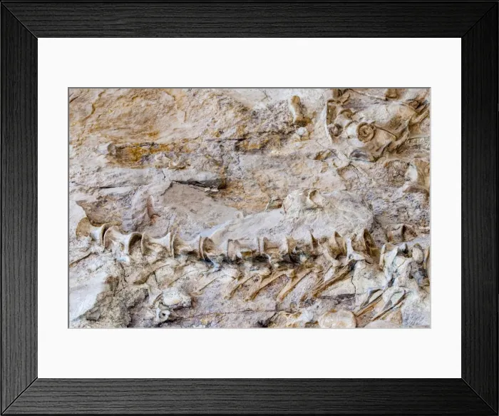 Framed Print : Dinosaur National Monument, Dinosaur, Utah, United States of America, North America Framed Print : Dinosaur National Monument, Dinosaur, Utah, United States of America, North America