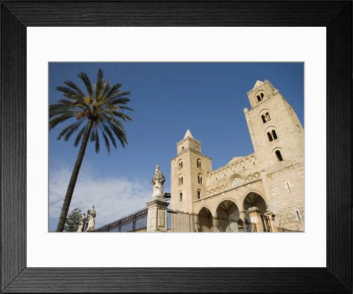 Framed Print : Palm tree and Cathedral