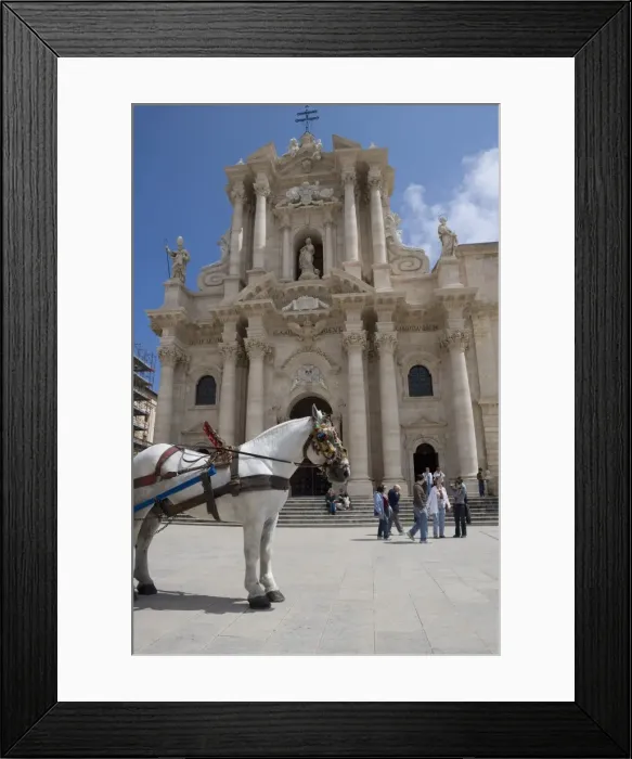Framed Print : Horse in front of the cathedral Framed Print : Horse in front of the cathedral