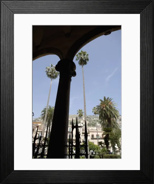 Framed Print : Tall palm trees Framed Print : Tall palm trees