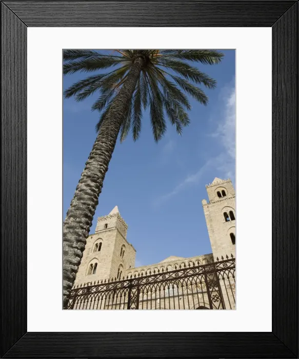 Framed Print : Palm tree and cathedral