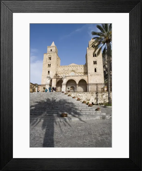 Framed Print : Shadow of palm tree Framed Print : Shadow of palm tree