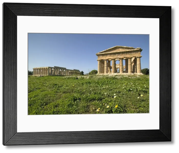 Framed Print : Temple of Hera (Basilica) left Framed Print : Temple of Hera (Basilica) left