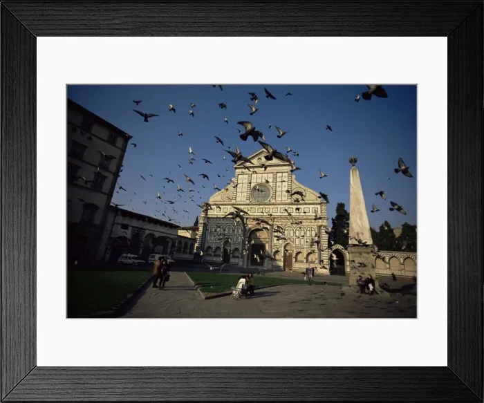 Framed Print : Pigeons in flight in the Piazza Santa Maria Novella Framed Print : Pigeons in flight in the Piazza Santa Maria Novella