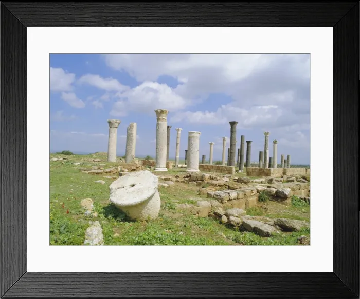 Framed Print : Columns of the 7th / 8th century Byzantine basilica at ancient Abila Framed Print : Columns of the 7th / 8th century Byzantine basilica at ancient Abila