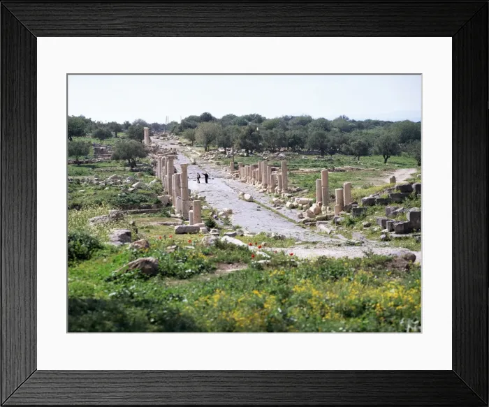 Framed Print : Looking west along Decumanus Maximus Framed Print : Looking west along Decumanus Maximus