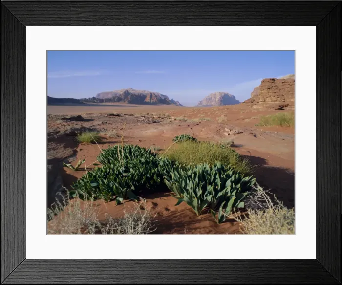Framed Print : View north from Jebel al Samerat (Sunset Site) Framed Print : View north from Jebel al Samerat (Sunset Site)