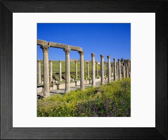 Framed Print : Cardo (main street) of the Roman Decapolis city Framed Print : Cardo (main street) of the Roman Decapolis city