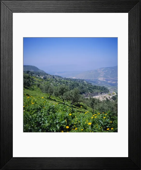 Framed Print : Umm Qais by the Sea of Galilee Framed Print : Umm Qais by the Sea of Galilee
