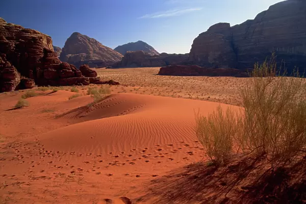 The desert at Wadi Rum
