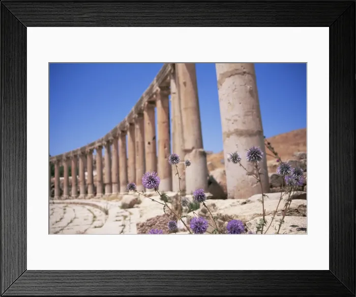 Framed Print : Oval plaza Framed Print : Oval plaza