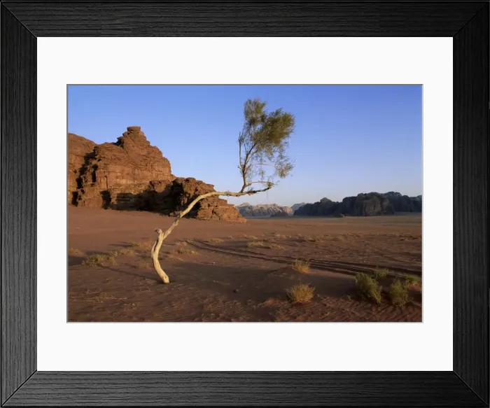 Framed Print : Desert landscape Framed Print : Desert landscape