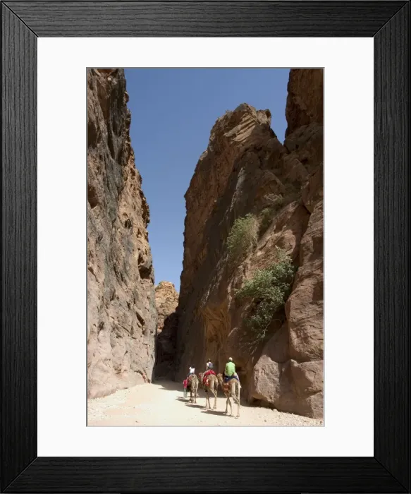 Framed Print : Camel ride in Petra Framed Print : Camel ride in Petra