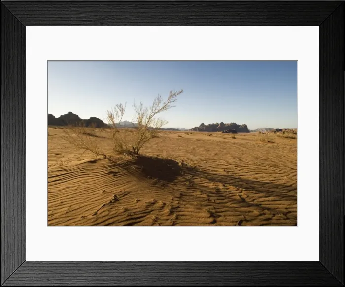 Framed Print : Desert, Wadi Rum Framed Print : Desert, Wadi Rum