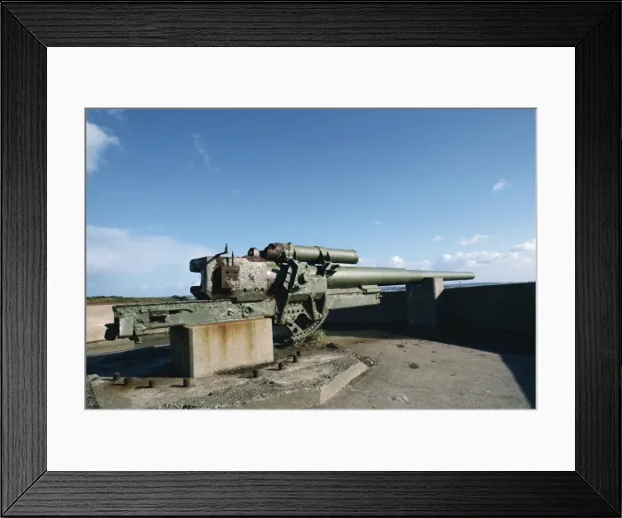 Framed Print : German gun Framed Print : German gun