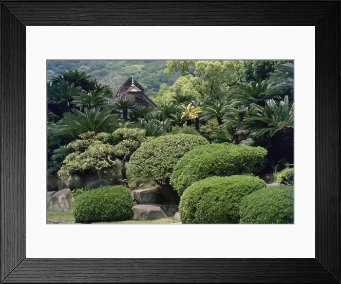Framed Print : Sorakuen garden Framed Print : Sorakuen garden