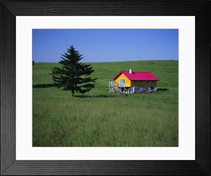 Framed Print : Yellow and red house