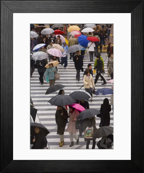 Framed Print : Pedestrians crossing a busy intersection with umbrellas Framed Print : Pedestrians crossing a busy intersection with umbrellas
