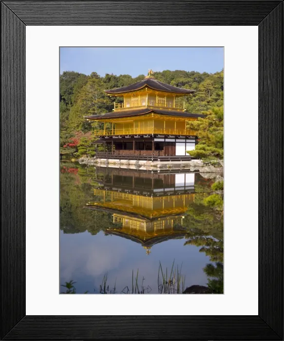 Framed Print : Kinkaku-ji (Golden Pavilion) Framed Print : Kinkaku-ji (Golden Pavilion)