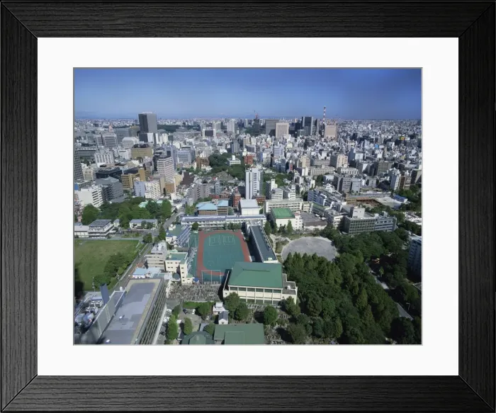 Framed Print : The skyline of Tokyo Framed Print : The skyline of Tokyo