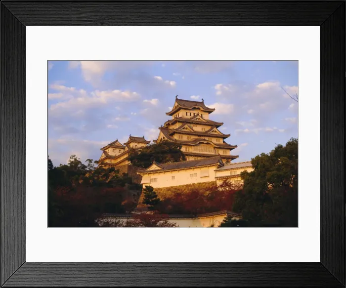 Framed Print : Hakuro-jo (White Egret) Castle Framed Print : Hakuro-jo (White Egret) Castle