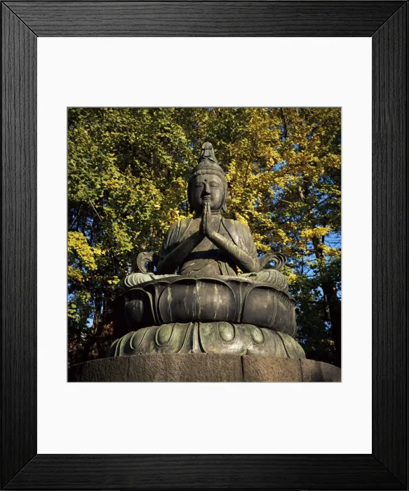 Framed Print : Buddha elect