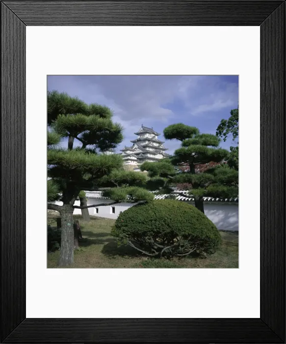 Framed Print : Trees in front of Himeji-jo (Himeji Castle) Framed Print : Trees in front of Himeji-jo (Himeji Castle)