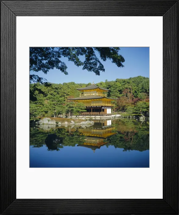 Framed Print : Kinkaku-ji Golden Temple Framed Print : Kinkaku-ji Golden Temple