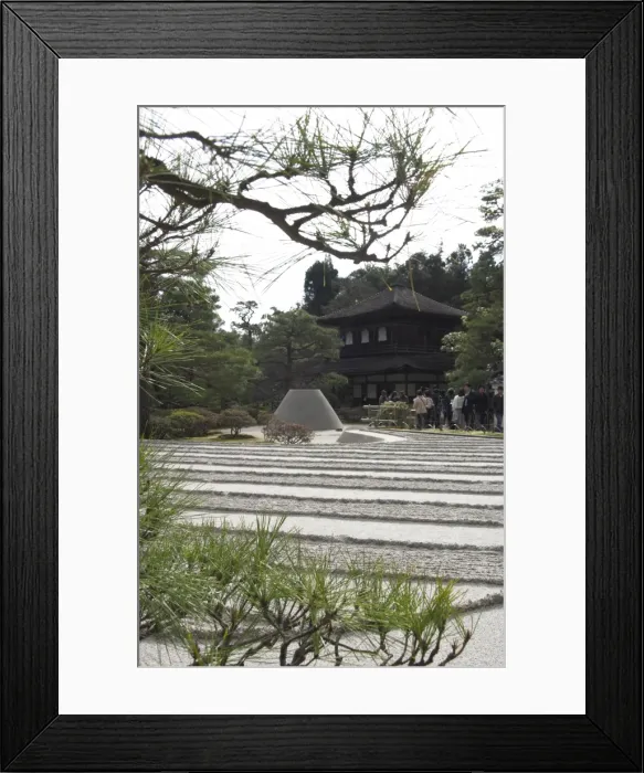 Framed Print : Pine tree in foreground Framed Print : Pine tree in foreground