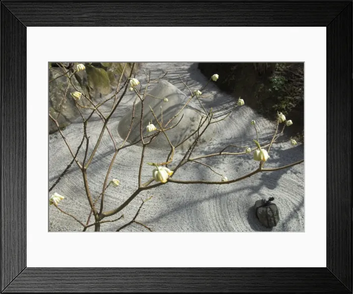 Framed Print : Close up with sand motifs of Japanese garden Framed Print : Close up with sand motifs of Japanese garden