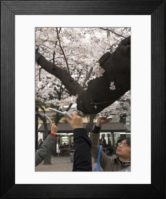 Framed Print : Close up of visitors hands holding mobile phone cameras Framed Print : Close up of visitors hands holding mobile phone cameras