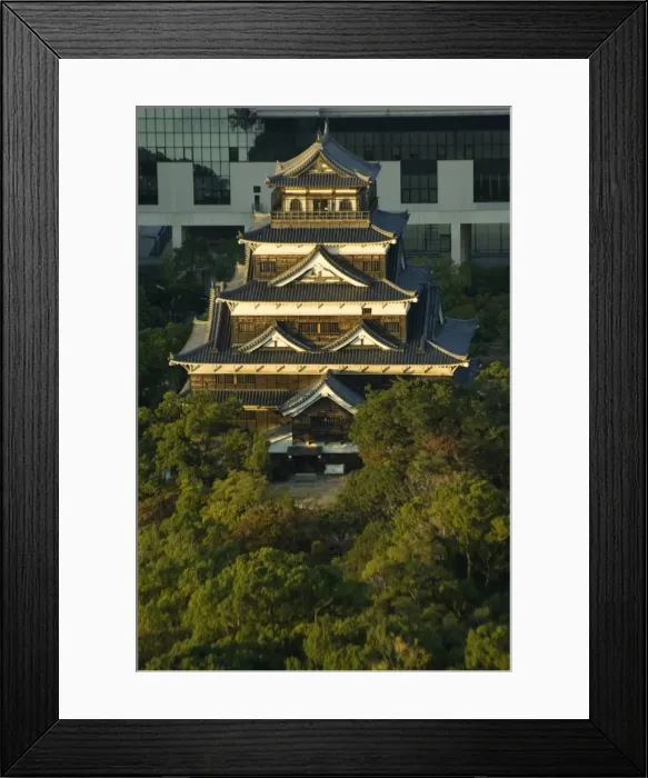 Framed Print : Hiroshima Castle Framed Print : Hiroshima Castle