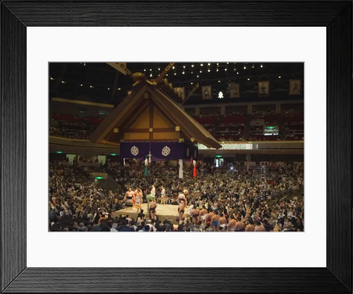 Framed Print : Sumo wrestlers Framed Print : Sumo wrestlers
