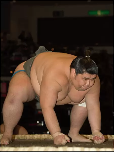 Sumo wrestler competing